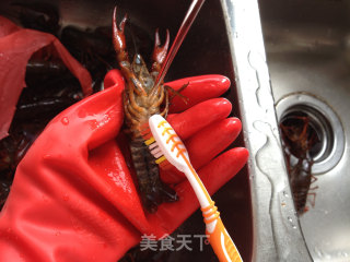 麻辣小龙虾的做法步骤：2