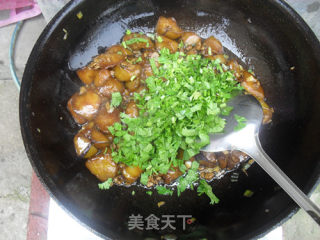 肉末茄子的做法步骤：10
