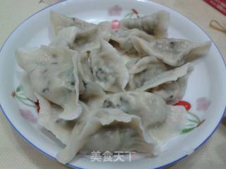韭菜猪肉水饺的做法步骤：15
