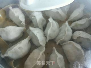 玻璃饺子的做法步骤：9