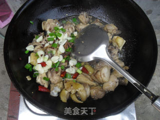 红烧鸡块的做法步骤：6