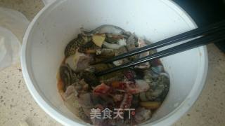 姜丝田鸡（僵尸田鸡）的做法步骤：3