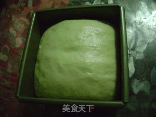 奶香土司的做法步骤：9