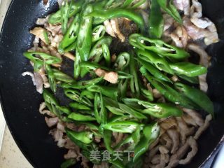 青辣椒红萝卜丝配猪肉丝的做法步骤：8