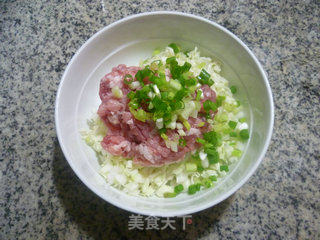 圆白菜猪肉馅锅贴的做法步骤：2