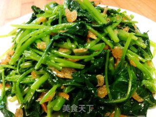 清拌芥蓝苗的做法步骤：10