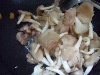 夏季营养---袖珍菇炒肉片的做法步骤：5