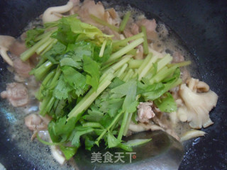 夏季营养---袖珍菇炒肉片的做法步骤：8