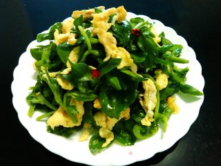 鸡蛋拌田七的做法步骤：10