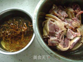 虫草花老鸭煲的做法步骤：1