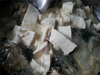 紫苏鲤鱼豆腐汤的做法步骤：14