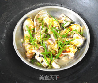 紫苏蒸草鱼的做法步骤：6