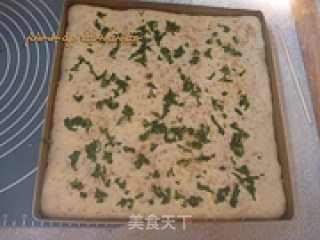 肉松面包卷的做法步骤：9