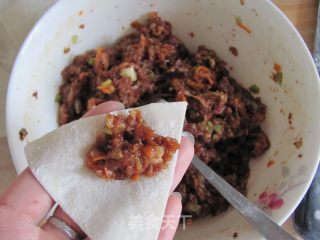鲜肉胡萝卜馄饨的做法步骤：8