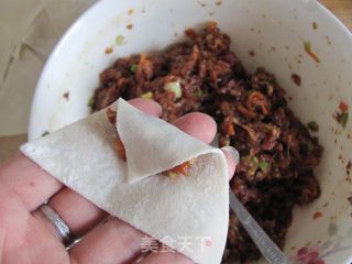 鲜肉胡萝卜馄饨的做法步骤：9