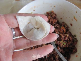鲜肉胡萝卜馄饨的做法步骤：11