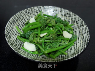 清炒南瓜苗的做法步骤：8