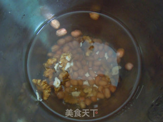 夏季营养---花生核桃露的做法步骤：2