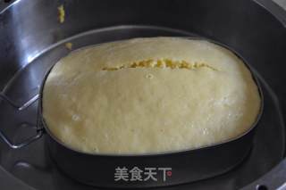 鲜玉米糕的做法步骤：14