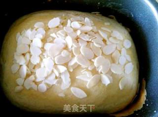 全自动土司的做法步骤：3