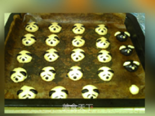 小狗饼干的做法步骤：15