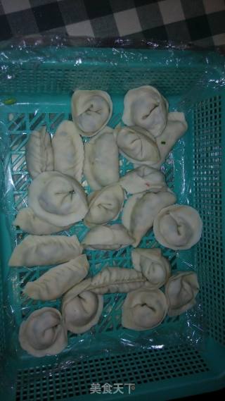 韭菜鸡蛋饺子的做法步骤：5