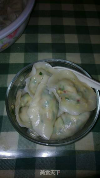 韭菜鸡蛋饺子的做法步骤：6