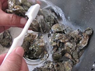 牡蛎豆腐的做法步骤：1