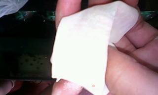 鲜肉混沌的做法步骤：9