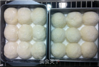 泡浆椰蓉餐包的做法步骤：6