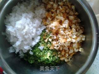 茴香油条粉皮包的做法步骤：5