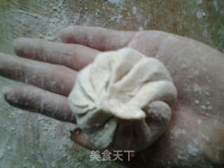 茴香油条粉皮包的做法步骤：10