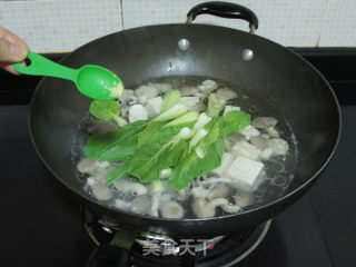 蘑菇油菜豆腐汤的做法步骤：6