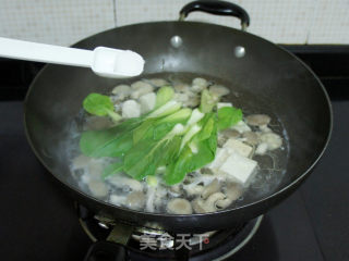 蘑菇油菜豆腐汤的做法步骤：7