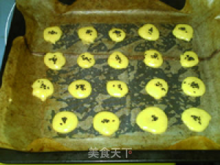 芝麻蛋黄饼干的做法步骤：10