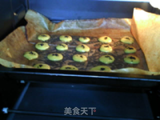 芝麻蛋黄饼干的做法步骤：11