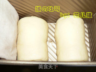 北海道吐司的做法步骤：5