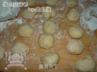 小蘑菇餐包的做法步骤：4