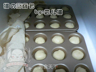 小蘑菇餐包的做法步骤：5