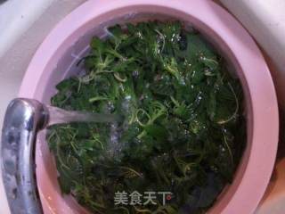 野苋菜馅】包子的做法步骤：4