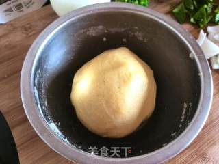椰蓉球的做法步骤：6