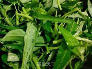 蒜香空心菜的做法步骤：3