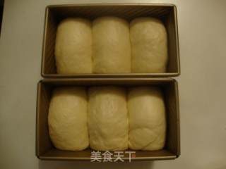 超软的奶油吐司——中种法的做法步骤：10