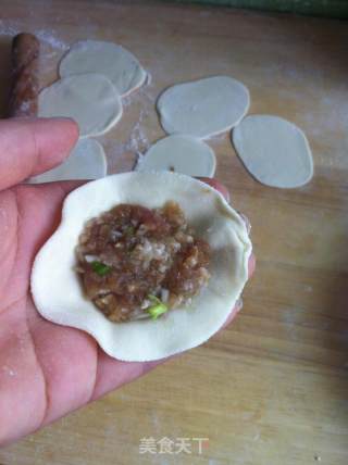 洋葱水饺的做法步骤：10