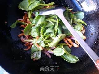 青菜肉丝炒面的做法步骤：10