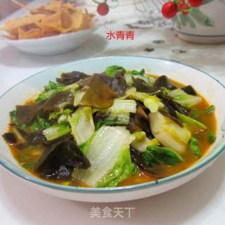 海带炒白菜的做法步骤：9