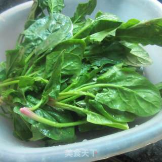 凉拌菠菜的做法步骤：1