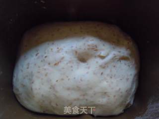 依然学烘培--中种全麦麸皮土司的做法步骤：10