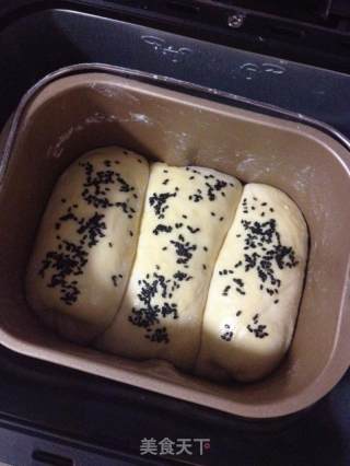 红枣酸奶葡萄干面包的做法步骤：10