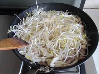 豆芽鲜鲜菇肉丝的做法步骤：6